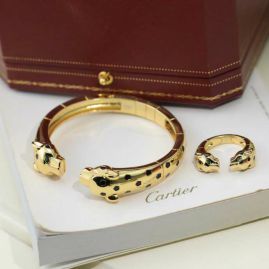 Picture of Cartier Bracelet _SKUCartierbracelet11lyx251257